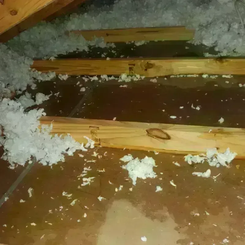 Attic Water Damage in Waterville, MN